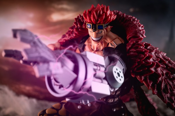 Amazon.co.jp: TAMASHII NATIONS S.H.フィギュアーツ ONE PIECE