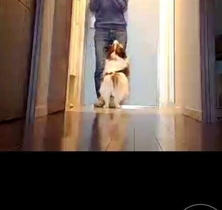 休校 スマホからお家をモニター 会話できる留守番カメラ 専業主婦まさきの一日 Powered By ライブドアブログ