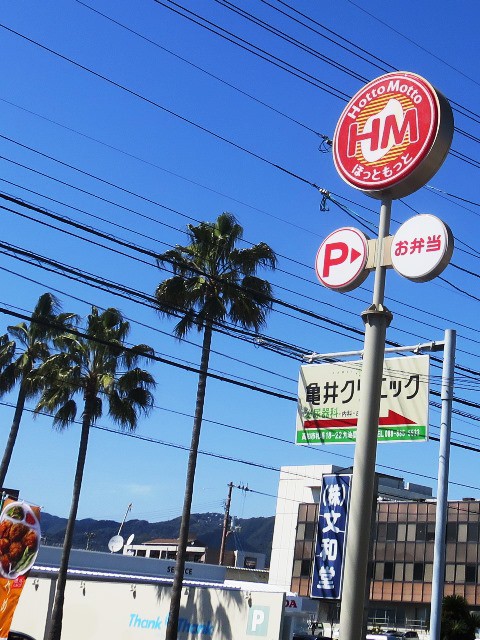 ほっともっとで極うま親子丼 のんびりと高知で