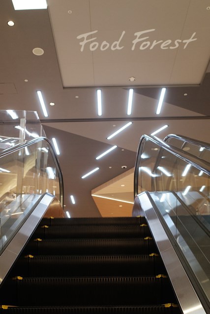 イオン高知フードコート 究極ラーメン横濱家 にて とん辛ラーメン醤油だ のんびりと高知で