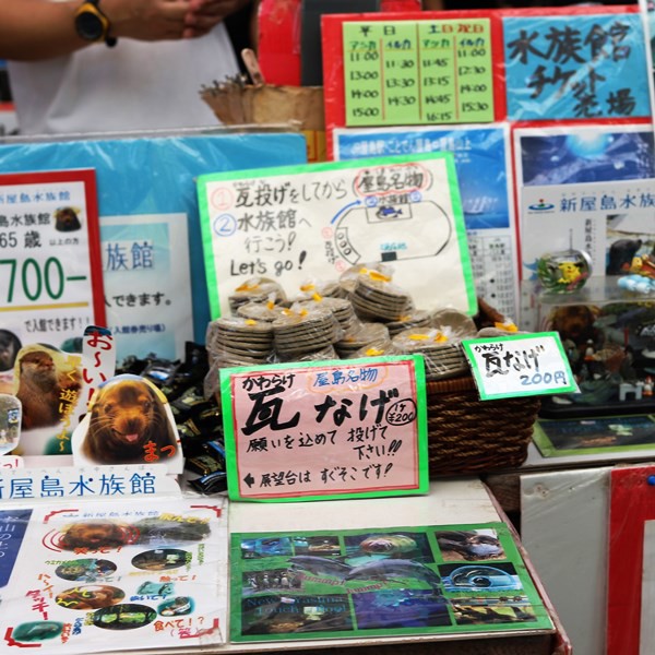 夏休みの屋島を楽しむ３ 屋島で かわら投げしたんだ のんびりと高知で