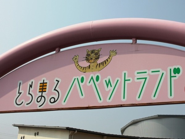 香川県は東讃を楽しむ４ とらまるパペットランドで人形劇にはまる のんびりと高知で