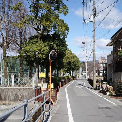 高知市の神田公園をぶらぶら のんびりと高知で