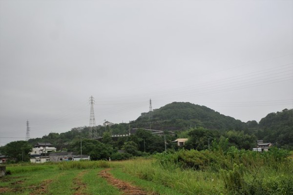 聖地巡礼 竜とそばかすの姫 登場の 龍虎図衝立 ｂｙ高知県立歴史民俗資料館 のんびりと高知で