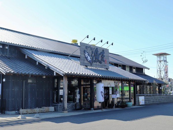 活魚レストラン 漁ま りょうま にて 新鮮な活け鯖の刺身を のんびりと高知で
