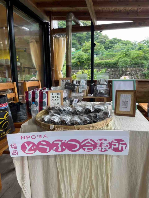保護犬の譲渡会、無事開催出来ました！ : 那珂川市議会議員 松尾まさ 