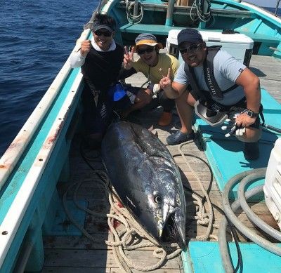 マグロ釣り用　カギ フカセマグロ仕掛け 商品詳細｜FISHING PARADISE｜オリジナル