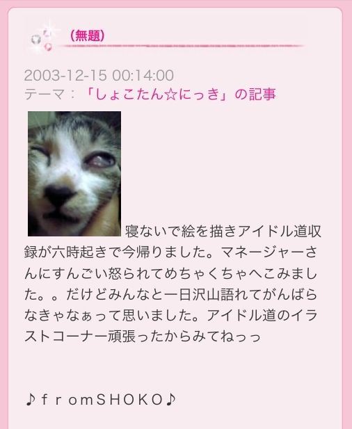 悲報 しょこたんこと中川翔子さんの愛猫が急死 涙が止まらないよ Mashlife通信