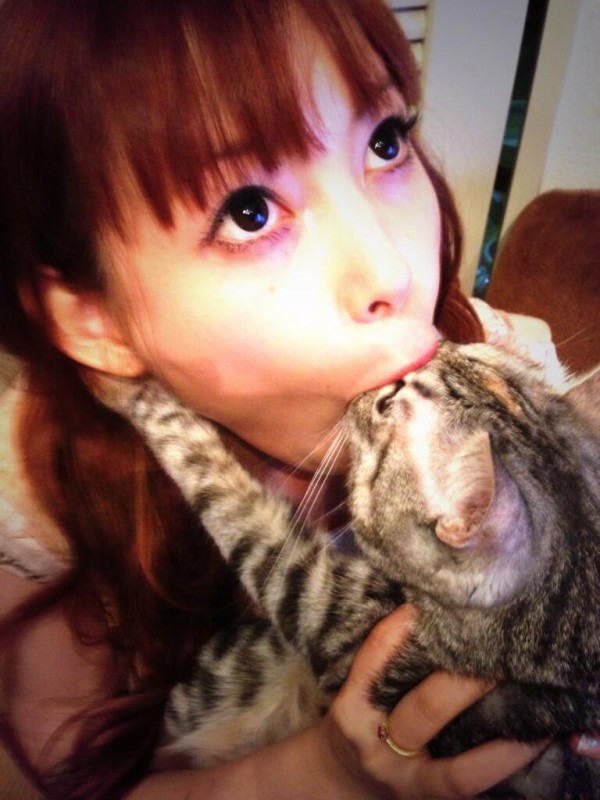 悲報 中川翔子さん また猫にかぶりつく 画像あり ｗｗｗｗｗｗｗｗｗｗｗｗｗｗｗｗｗｗｗ Mashlife通信