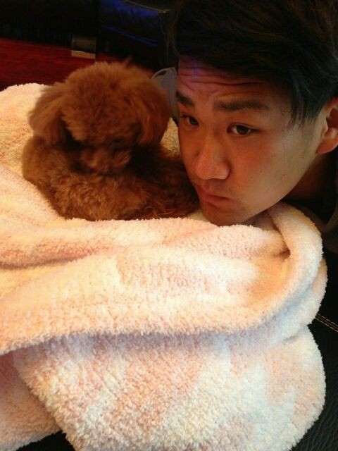 田中マー君と里田まいの結婚式の画像ｗｗｗｗｗｗｗｗ Mashlife通信