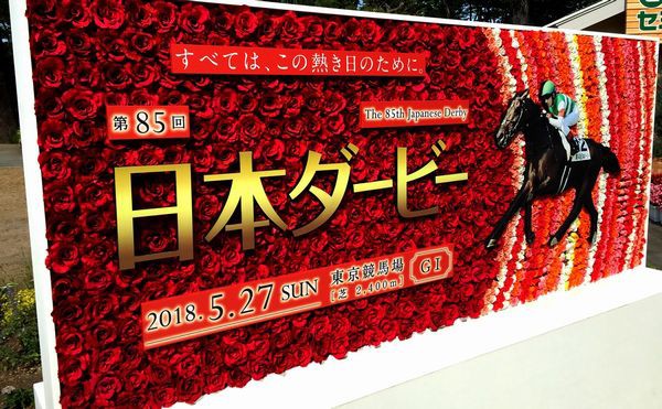 ダービー生観戦するために東京競馬場まで走ってみた M A D もうアタシ ダメ