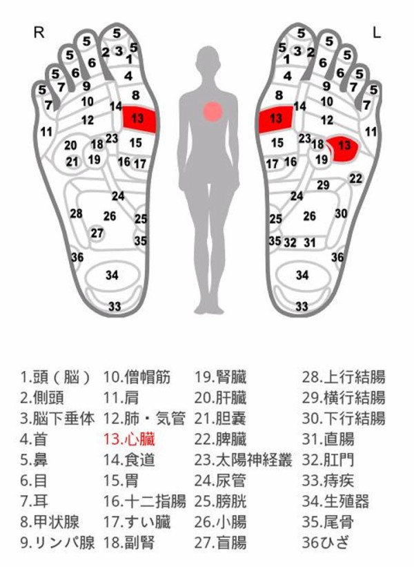 足ツボマッサージ 英語 なぜ そこが痛いのか ストレス 坐骨神経痛 他 マッサージ師のための英語講座