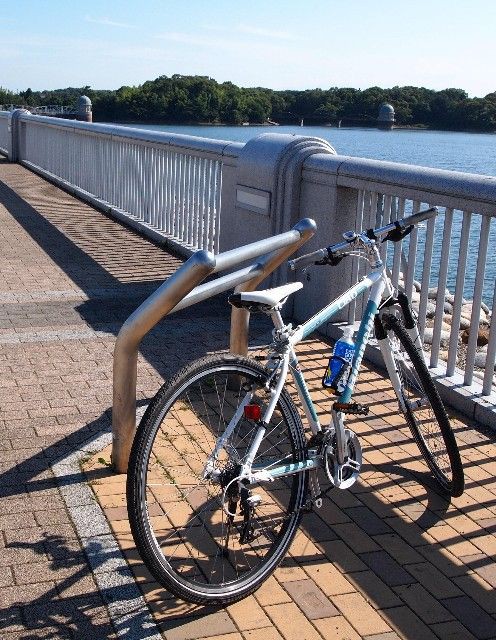 多摩湖、狭山湖サイクリング ~所沢ゆり園へ~ : 定年おやじの徘徊記