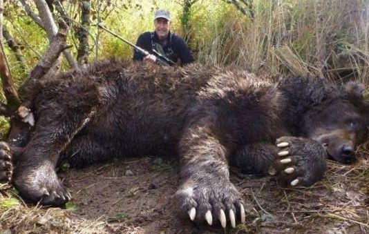 ヒグマの巨大な爪について。 : 増田俊也の執筆生活｜公式ブログ