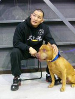 これが話題の犬ラブラドゥードルの写真 エンセン井上の愛犬修斗君の写真も 増田俊也公式ブログ Toshinari Masuda