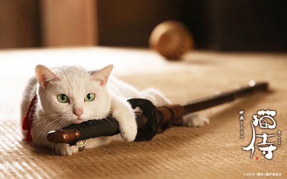 猫侍 第十一話 トリ猫家族