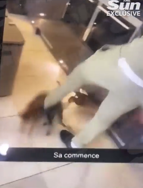 悲報 ウェストハム所属のフランス代表サッカー選手のズマ 猫ちゃんを虐待し選手生命が終わる サカサカ10 サッカーまとめ速報