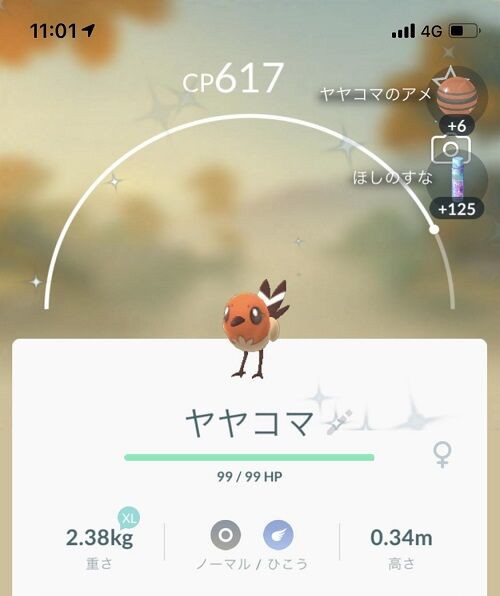 ポケgo ヤヤコマ全部飴にするのちょっと待て 火曜の進化xp2倍アワーまでがヤヤコマデイだぞ 徒歩のポケモンまとめブログ