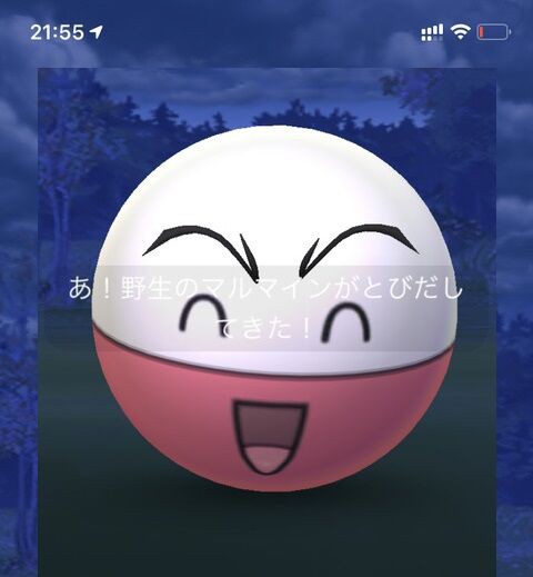 ポケモンgo マルマインさん メチャクチャ怖くなる 徒歩のポケモンまとめブログ