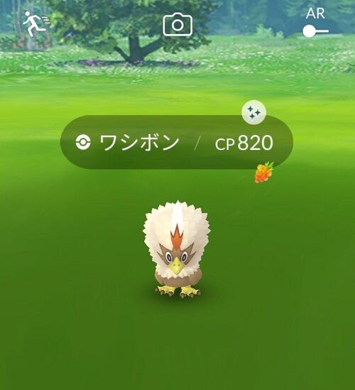 ポケモンgo ワシボンレイド発生率3 色違い率1 450 猫気球発生率10 これマジか 徒歩のポケモンまとめブログ