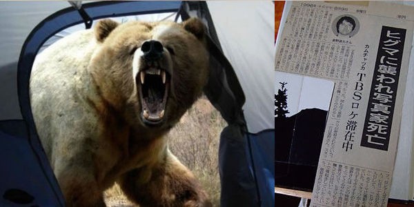 真相 Tbs どうぶつ奇想天外 で星野道夫さんがヒグマに食い殺された最悪の事件 その一部始終が衝撃的すぎる 画像あり まとめストレート 真相 Tbs どうぶつ奇想天外 で星野道夫さんがヒグマに食い殺された最悪の事件 その一部始終が衝撃的すぎる 画像あり まとめストレート