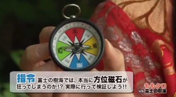 ももクロ 百田夏菜子は樹海探検で何を見つけた ももクロまとめクイズ