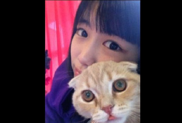 ももクロ 高城れにの飼い猫 ぜっと君 が 野良猫に出会ったとき ももクロまとめクイズ