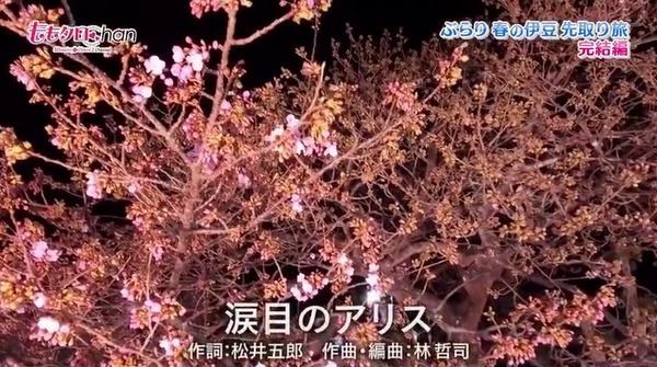 ももクロ 高城れには花見で何の曲を歌った ももクロまとめクイズ