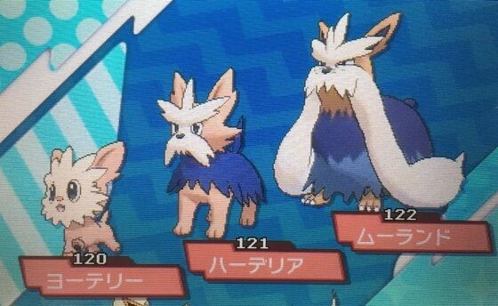 ポケモン剣盾のイヌヌワンの進化後ｗｗｗｗｗｗｗｗｗｗｗｗ ゲーム情報通