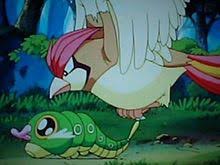 彡 ﾟ ﾟ 好きなポケモン ピカチュウとキャタピーやな まとめまっくす