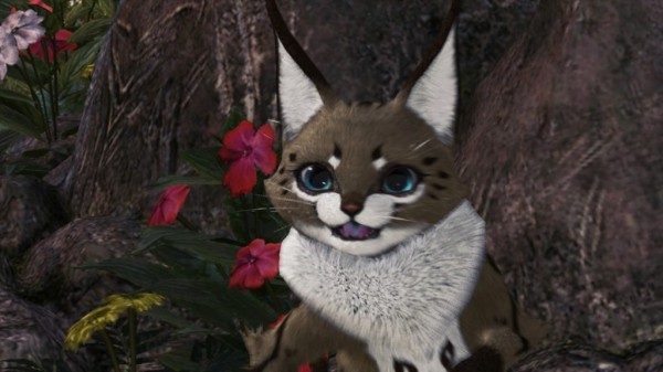 Mhw Ib やっておくと狩りが 超 楽になる事リスト オトモアイルー オトモ道具 編 となりのモンスター屋さん となもん モンハン ポケモン 特撮 ゲーム関連ブログ