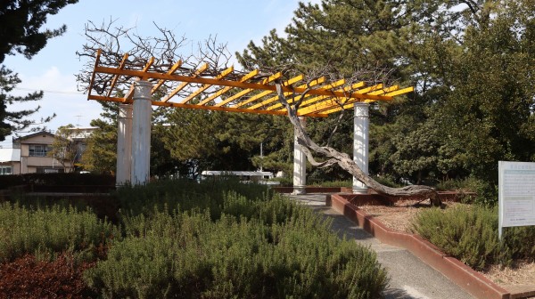 あらためて 自転車で巡って思いを馳せる 松の木の鉄日常を綴るのんびりblog