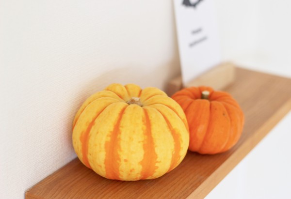 無印】なにコレ可愛い！ハロウィン用のカボチャがいっぱい♪ : 良品