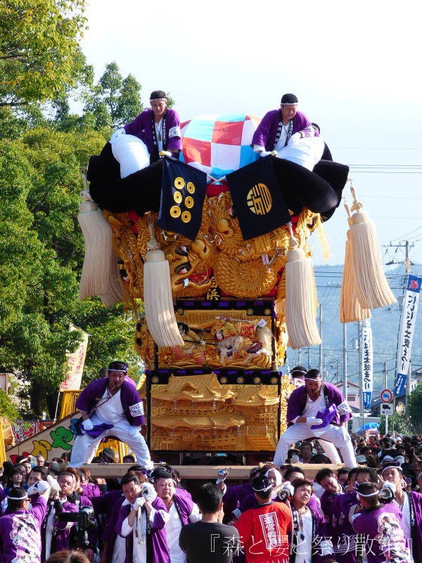 2016年10月18日 白浜太鼓台 : 『森と櫻と祭り散策』