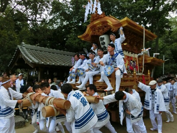 富田林市 錦織神社秋祭り② : 神社前2F特設祭事場