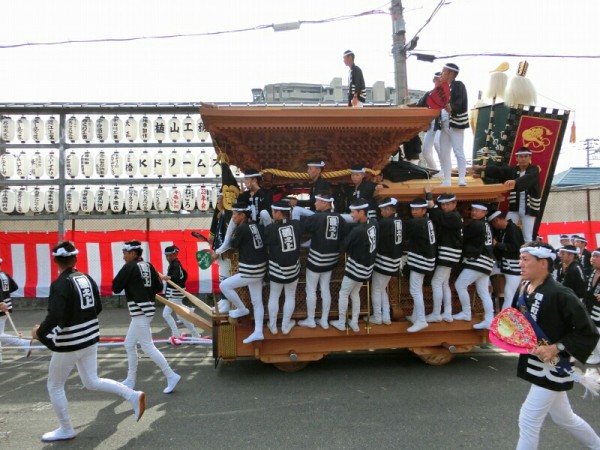 岸和田市 だんじり祭り（春木地区①） : 神社前2F特設祭事場