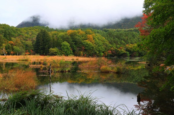 秋の紅葉は足早に迫る！（福島県下郷町in観音沼森林公園） : みちくさ
