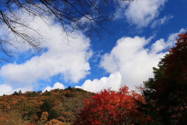 お山での今季最後の紅葉か ぁ 塩原渓谷歩道を歩む みちくさんぽ 人生道草散歩