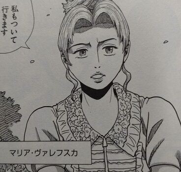 ナポレオン 覇道進撃1〜26巻　まとめ売り Amazon.co.jp: ナポレオン ‐覇道進撃‐ コミック 1-26巻セット