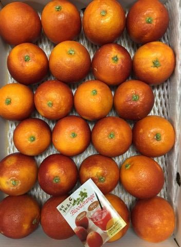 商品情報160226】春キャベツ（本春）入荷始まりました！ : まつ