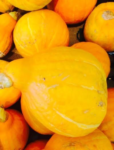 コリッと新食感 生で食べられるかぼちゃ コリンキー まつのblog We Like Vegetables