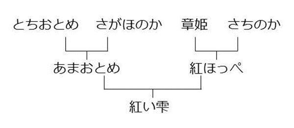 松野貞文の全国視察記 愛媛の新イチゴ 紅い雫 のつくり手 宇和島 まつのblog We Like Vegetables
