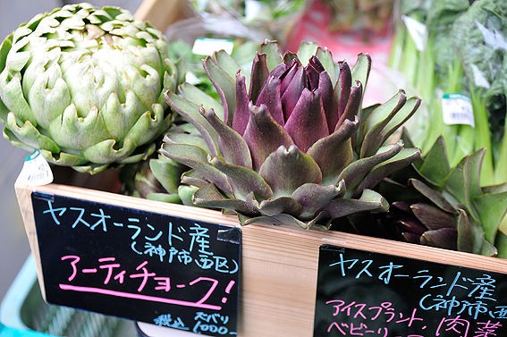 優れたファイバーベジ アーティチョーク まつのblog We Like Vegetables