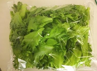 商品情報 震災から5年 福島県川内村より植物工場レタス まつのblog We Like Vegetables