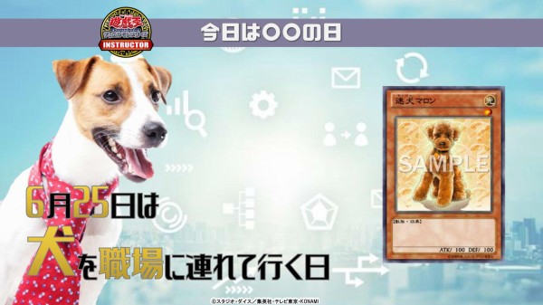 遊戯王ocg 公式が犬を職場に連れて行く日にちなんだデッキレシピを紹介 スターライト速報 遊戯王ocg情報まとめ