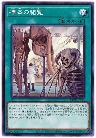 遊戯王ocg キャラの描かれたカードも増えた スターライト速報 遊戯王ocg情報まとめ