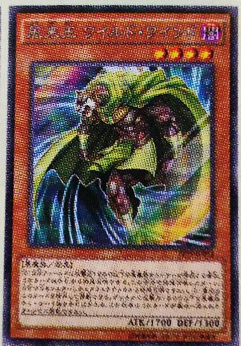 遊戯王　まとめ　風 VS螺旋流辻風【ノーマル】{DBWS-JP024}《魔法》