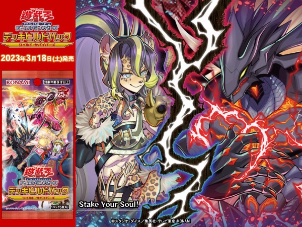 Amazon.co.jp: Z/X -Zillions of enemy X- スタートダッシュ