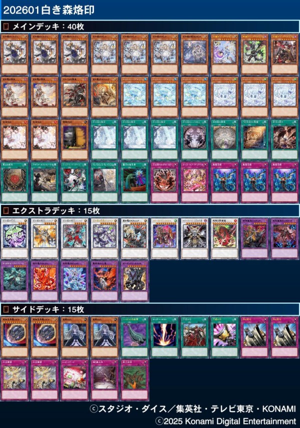 遊戯王大会結果】第10回ふわドラ杯 チーム戦 優勝は【巳剣】【M∀LICE