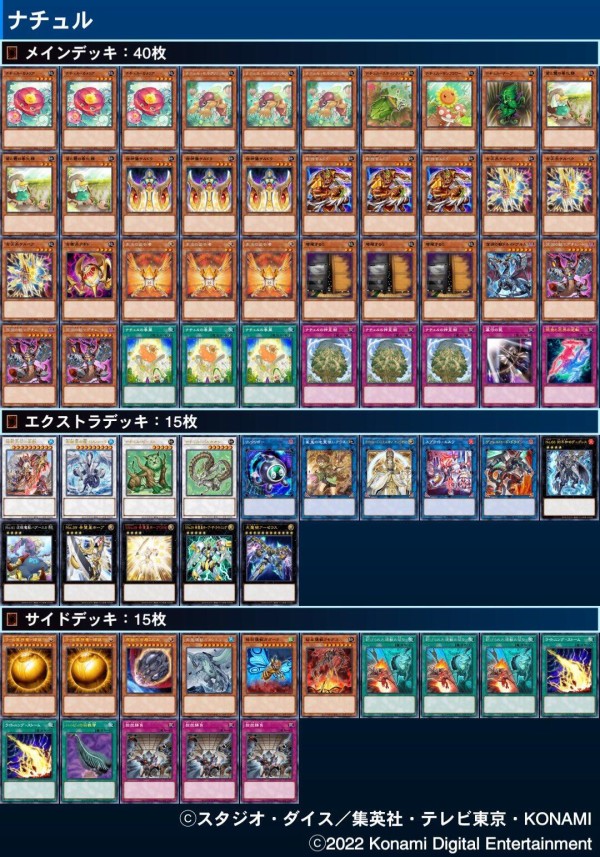 即日発送！大会用【ナチュル】デッキ　遊戯王 ナチュルデッキ遊戯王デッキレシピ【ビートダウン】 | 遊戯王